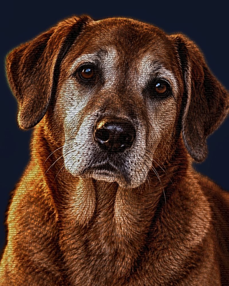 Senior dog memorial word art portrait
