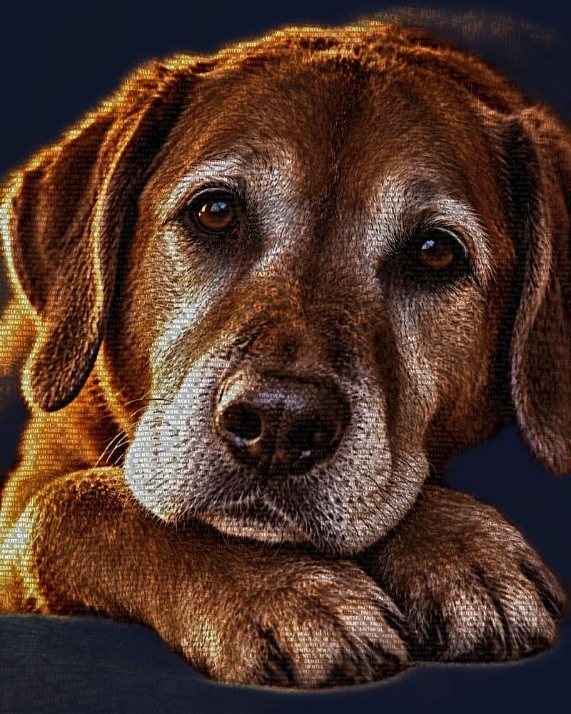 Dog memorial word art portrait, golden light